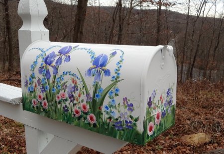 Flower mailbox - white, flower, mailbox, wood