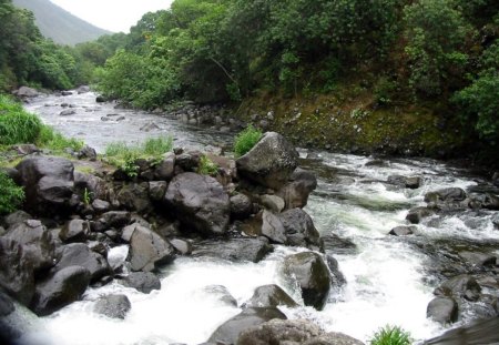 Foaming Over Rocks. - makes, the, way, river