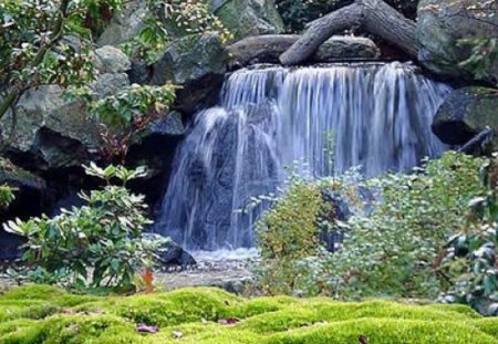 Woodland Waterfall - greenery, nature, waterfall, woodland, outdoor