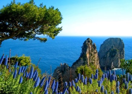 Capri view - nice, sky, trees, water, greenery, coast, rocks, view, pretty, lake, summer, capri, shore, lovely, nature, blue, beautiful, stones, flowers, sea