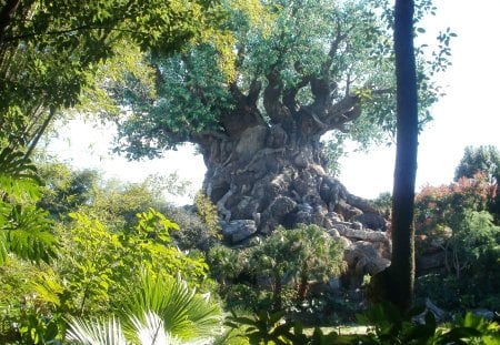 Tree of Life Animal Kingdom - Animal Kingdom, Tree, Manmade Tree, Orlando, Florida