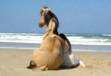 Hugs - girl, horse, hugs, sea