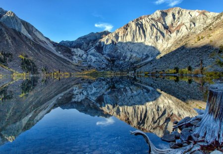 mirrored lake - lake, petrified tree, mountains, reflection