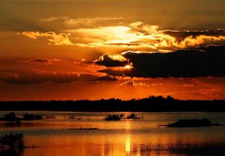 silhouettes at sunset - lake, sunset, birds, clouds