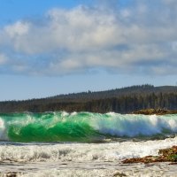 Beautiful Ocean Waves