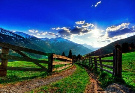 farm in the morning - morning, grass, farm, fences