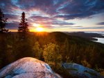 sunset over vast forest