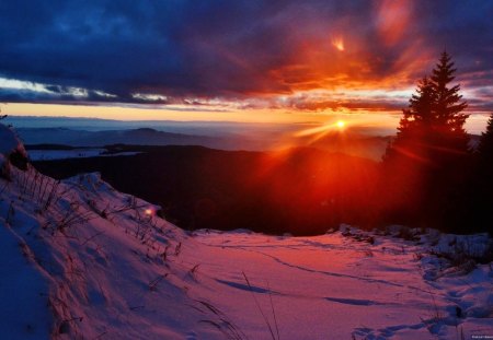 gorgeous sunset in winter - mountains, winter, clouds, rays, trees, sunset