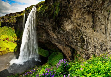 gorgeous waterfalls over a cliff - cliff, sightseeing, pool, flowers, waterfall