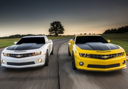 Camaro combo - ss, zl1, chevrolet, camaro