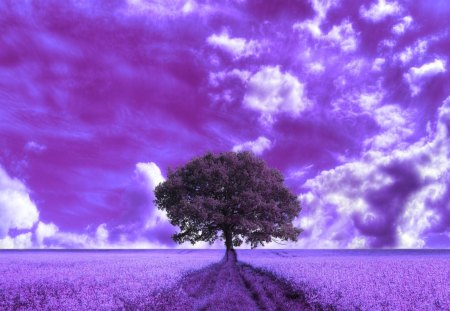 Beautiful Wasteland - purple, tree, fantasy, abstract