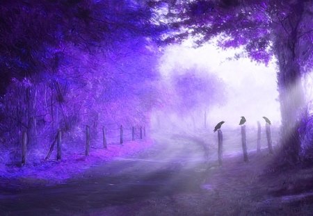 The Old Country Lane - purple, tree, lane, country