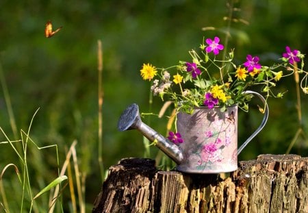 Spring Flowers - pretty, wood, beautiful, beauty, spring, grass, lovely, yellow flowers, spring time, flowers, wildflowers, wooden, nature, green, butterfly, pink flowers