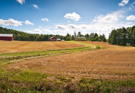 Farm 3 - sky, clouds, field, house, barn