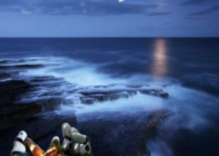 robotmoon - butterfly, moonlight, sea, robothand, rocks, gull