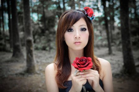 Rose Girl - trees, red rose, people, girl, models, celebrity, flowers, forests, nature, rose, taiwan