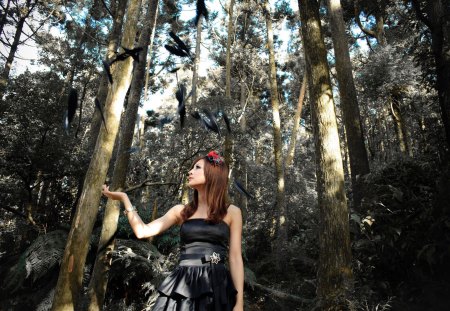 Alone In The Forest - trees, red rose, people, dress, girl, models, celebrity, flowers, forests, nature, rose, black dress, taiwan