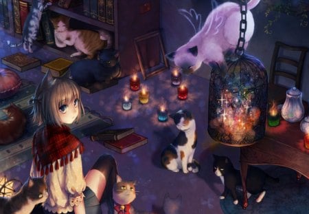 Kitty Home - pretty, anime, shelf, kawaii, female, ears, book, window, nekomimi, light, tail, short hair, animal, kitten, candles, nice, neko, anime girl, beautiful, candle, girl, beauty, lovely, sweet, cat, neko mimi, cute, kitty