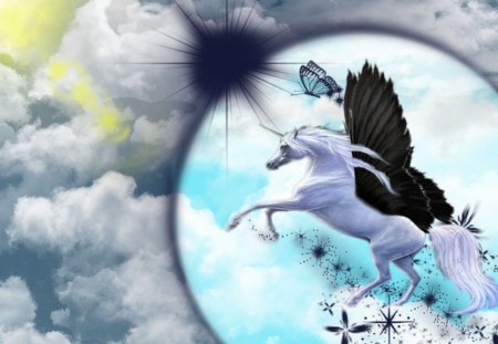 unicorn butterfly - flight, winged, fantasy, unicorn