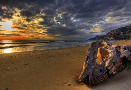 driftwood on a beach at sunset hdr - clouds, sunset, beach, hdr, sea, driftwood