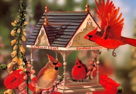 Red cardinals - nice, summer, lovely, spring, nature, cardinals, flying, pretty, red, beautiful, birdhouse, flowers, birds