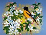 Spring bird