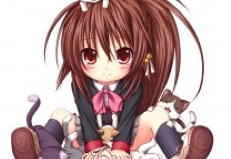 Rin Natsume - little busters, female, simple, anime girl, brown hair, white, anime, cute, adorable, cat, girl, chibi, kitty, long hair, kitten, kawaii, plain, adore