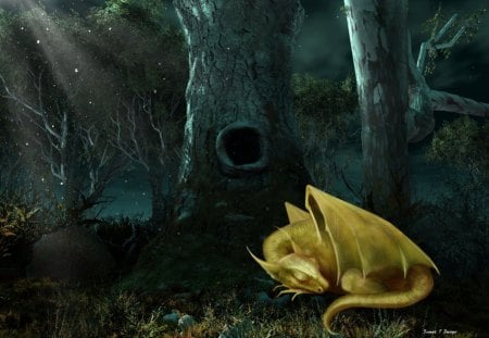 Peaceful Sleep - fantasy, sleep, dragon, forrest, dark