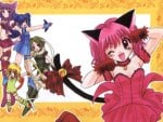 Tokyo Mew Mew