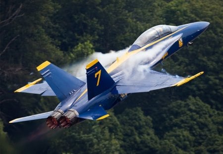 aircraft - aircraft, blue, tree, air