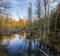 river autumn