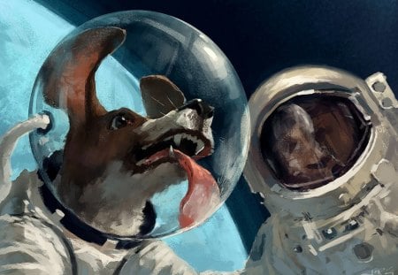 Cosmonaut dog - pretty, pay, beautiful, dog face, beauty, puppies, lovely, playful dog, sweet, playful, dogs, bubbles, cute, face, puppy, animals