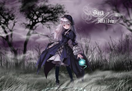 Stormy knight - hat, trees, storm, windy, dark, lace, cute, maiden, minitokyo, girl, light, long hair, lovely, woods, frills, cape, dress, white hair