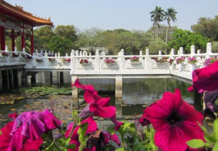 Lake view - Lake view, winding bridge, lake, flower, park