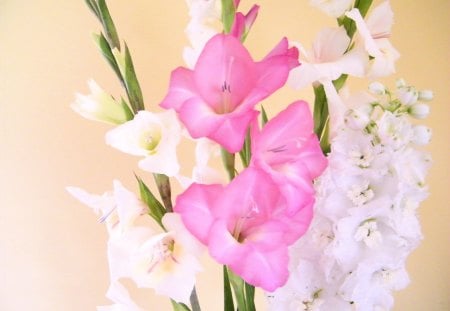 bouquet - white, bouquet, pink, gladioli