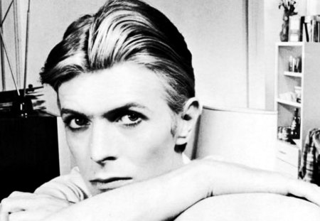 David Bowie 1 - ziggy, aladdin, icon, bowie, david bowie, stardust, heroes