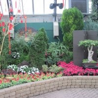 Gardening Edmonton Pyramids 42