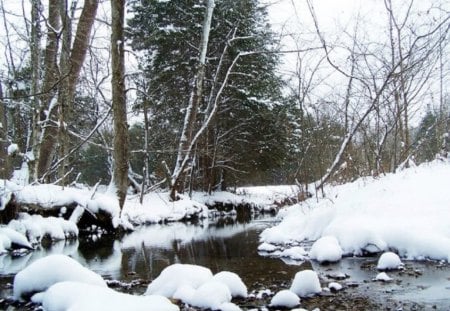 Snow White Creek - winter, nature, creeks, snow