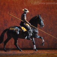 Spanish Picador riding an Andalusian Stallion