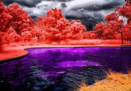 â˜€Colorful on Odd Dayâ˜€ - sky, trees, photography, peaceful, odd day, water, colorful, wonderful, lakes, reflections, calm, amazing, cool, clouds, waterscapes, splendid, magnificent, light, silent, plants, nature, bright, beautiful, leaves, splendor, colors