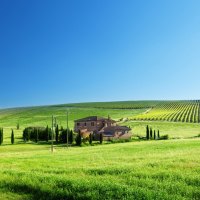 wonderful italian farm