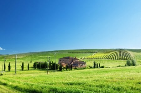 wonderful italian farm - farm, hills, fields, trees