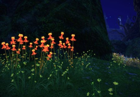 Glowing Flowers - glow, tera, pora elinu, pora elinu tera, flowers