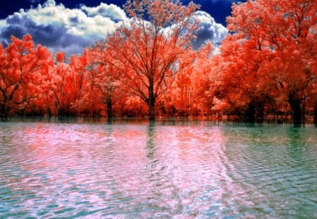 â˜€.It Is Perfect Contrast.â˜€ - lakes, beautiful, perfect, leaves, amazing, splendid, plants, bright, light, photography, wonderful, nature, colorful, waterscapes, magnificent, cool, water, reflections, landscape, sky, clouds, splendor, trees, pink day, colors, contrast