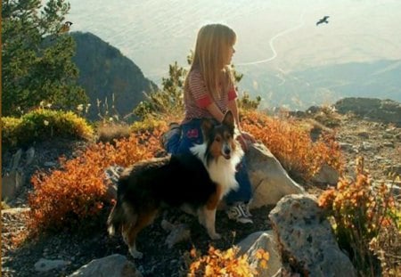 Ð walk - girl, skay, bird, dog