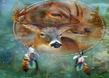 Deer Shield - dreamcatcher, abstract, animals, fantasy, deer