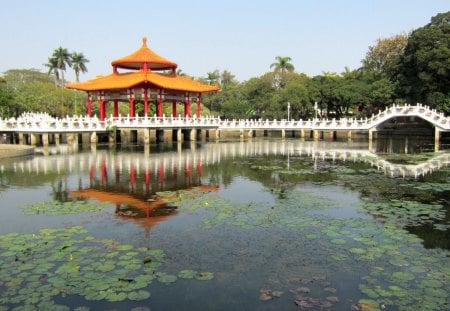 Lotus lake - Lotus, lake, reflection, park, bridge