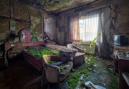 letting nature back into the bedroom - moss, bedroom, abandoned, ruins