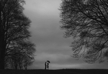 silhouettes in the fog - white, silhouettes, love, photography, fog, black