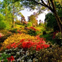 Leonardslee gardens-UK